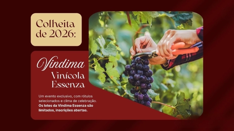 Vindima Essenza 2026